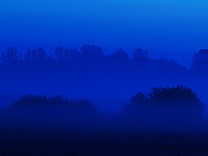 Blauer Nebel - blue fog